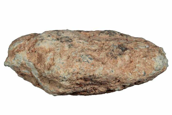 Lunar Meteorite ( g) - Bechar #288506